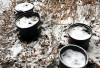 Snowy Emptly Pots